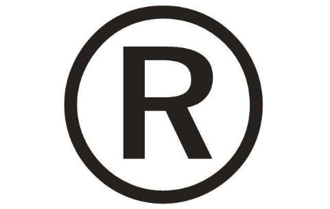 481